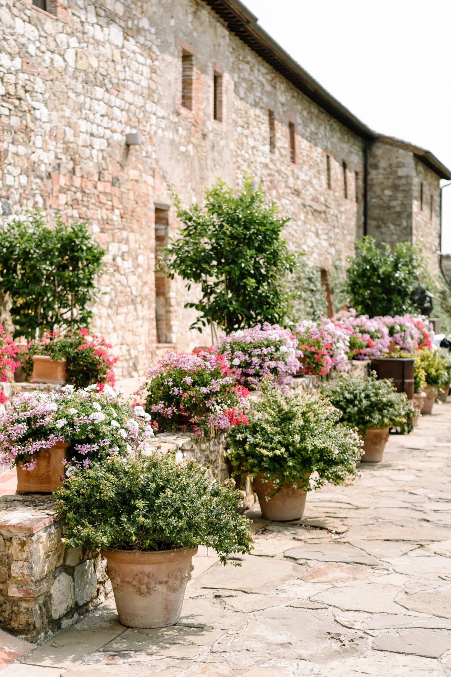 Colored geranium flowers in the garden of this exclusive resort in Tuscany