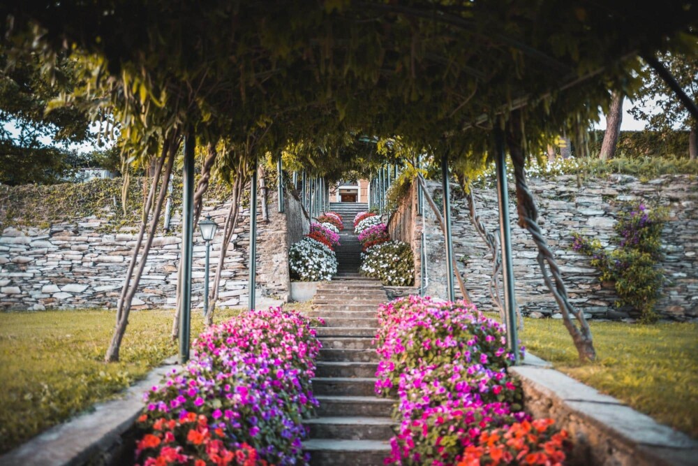 Colored flowers in the garden of exclusive villa in the Italian Riviera