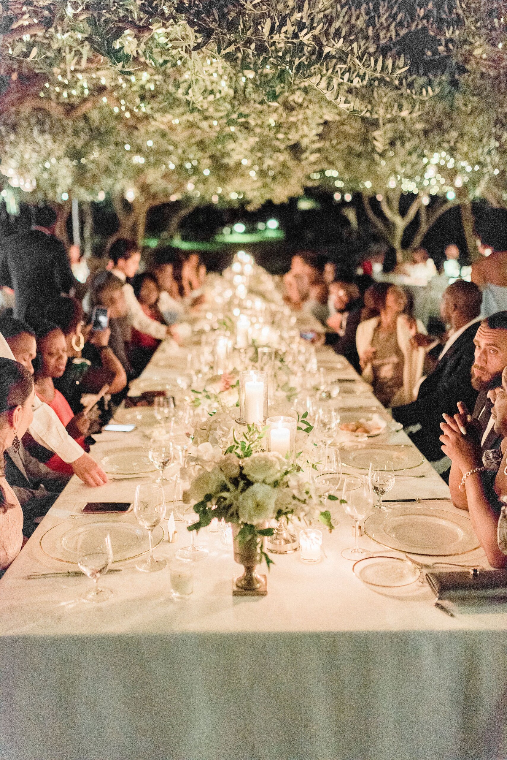 Romantic wedding dinner under the olive trees