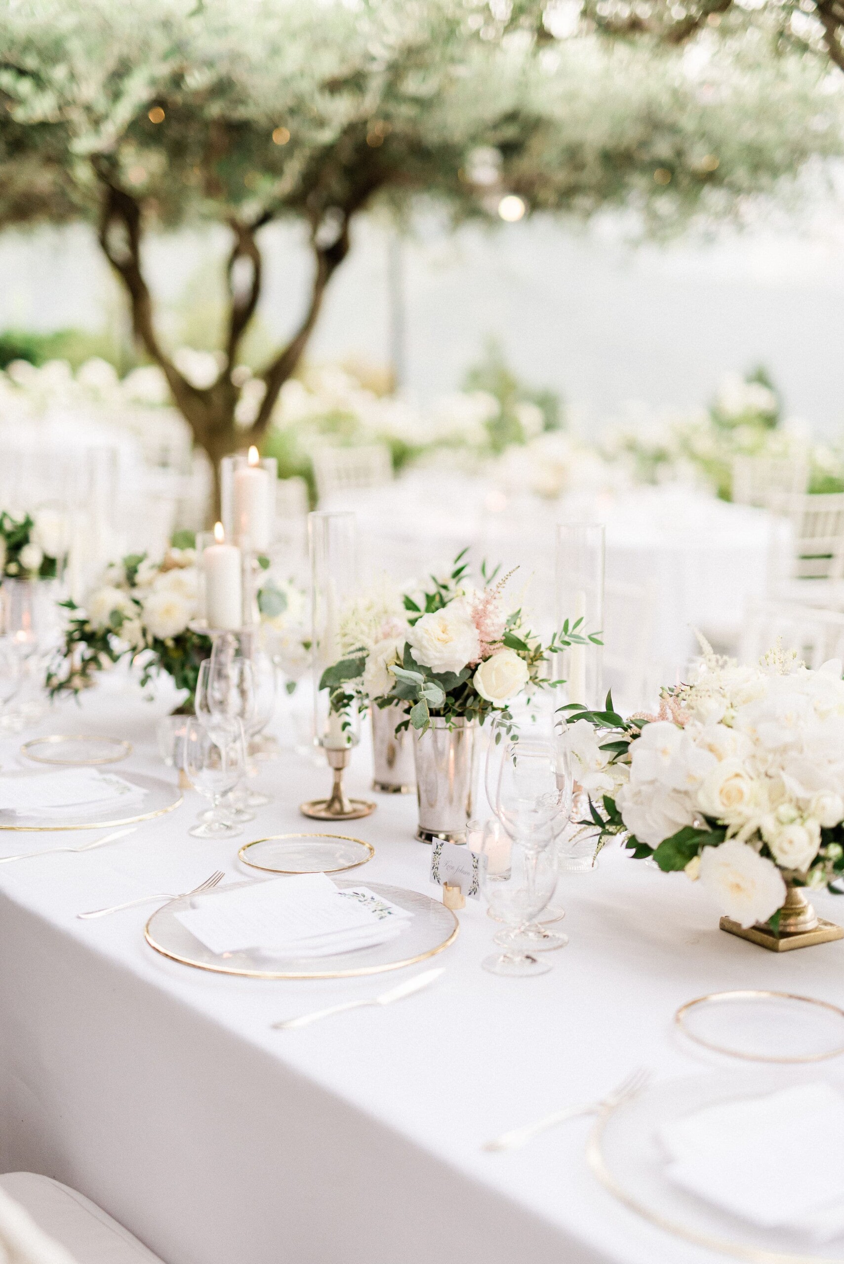 Wedding dinner table decored with white flowers