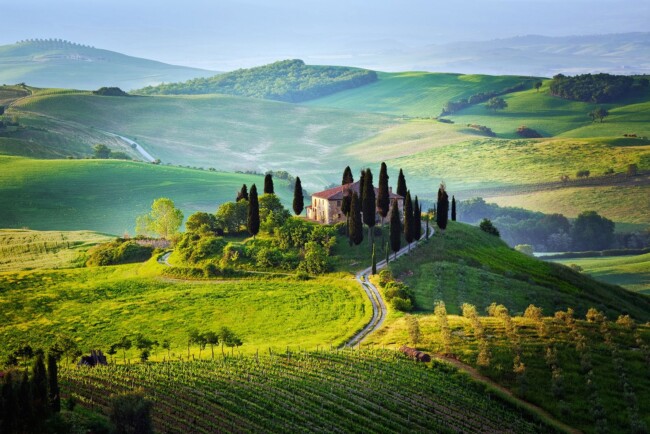 Siena rolling hills and vineyards