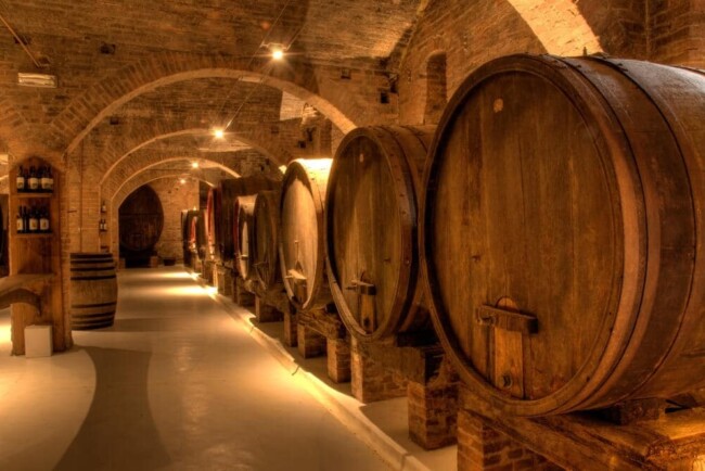Siena wine cellar with wooden barrels