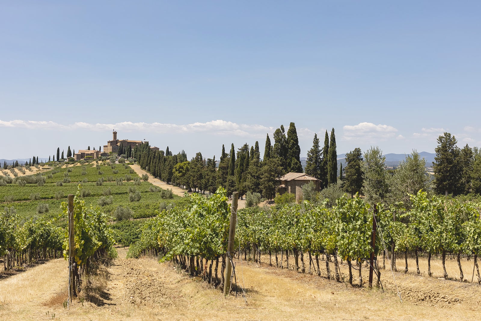 View of the hamlet at the Italian vineyard wedding venues